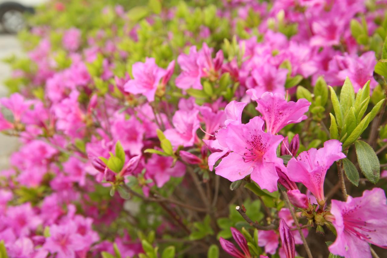 Namwon Hotel Eksteriør billede