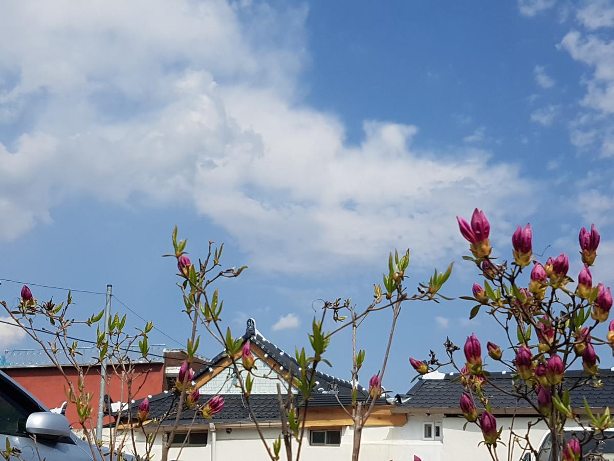 Namwon Hotel Eksteriør billede