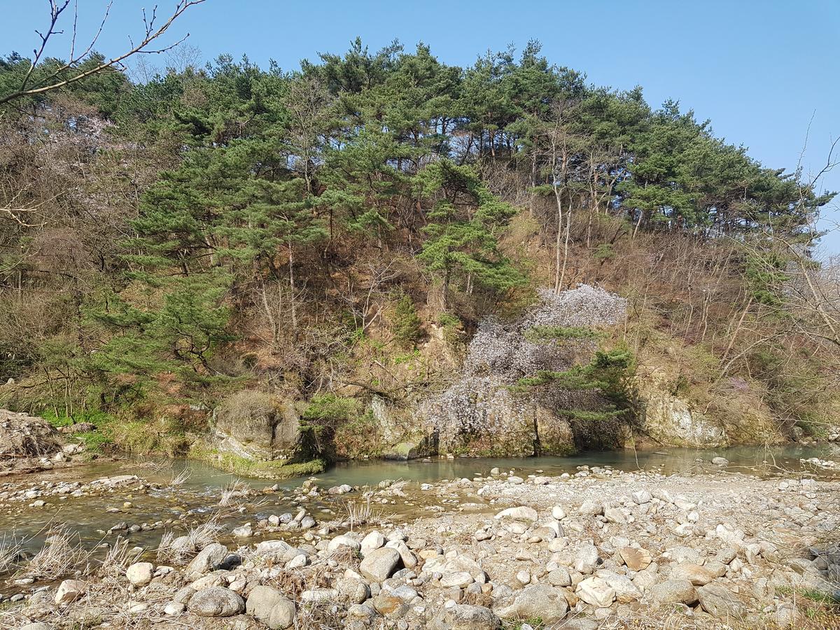 Namwon Hotel Eksteriør billede